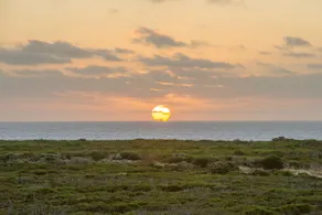 Kilifi Beach House - Image 2