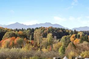 Parcinger Vacation Rental - Image 2