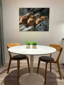 Studio for 2 adults (newly renovated) next to thermal baths - Image 2
