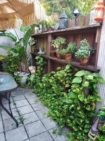 Casa Canaveral - Image 2
