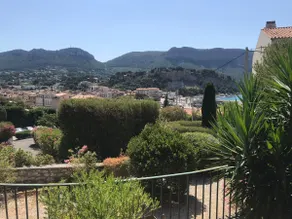 Terrace of the leaning pine of the harbor - Image 5