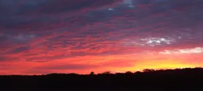 Bushland Retreat-experience nature - Image 4
