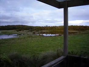 Bushland Retreat-experience nature - Image 5
