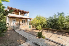 Amira's Playhouse - Image 4