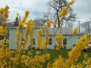 Relaxing House near the Lake - Image 2