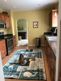 Charming, pet friendly cottage - Image 5