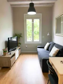 Sunny 2 bedroom Pl. Espanya-Sants. Just renovated. - Image 2