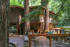 Relaxing Getaway in a Treehouse - Image 2