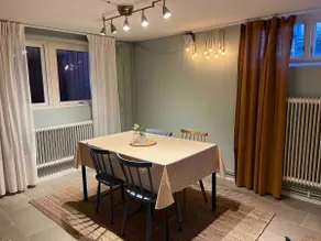 Spacious apartment in the basement of our villa - Image 3