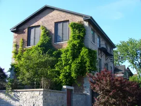 Historic Apartment Downtown Kingston - Image 2