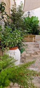 Xenia Boutique Apartment - Image 2