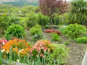 Poppyfield House, Kenmare - Image 3