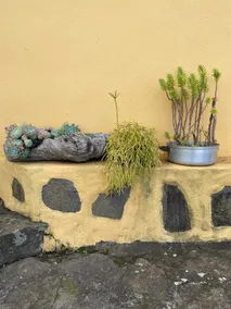 Juana Garcia House - Image 4