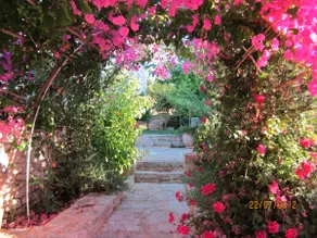 Phaedra Villa - Image 4