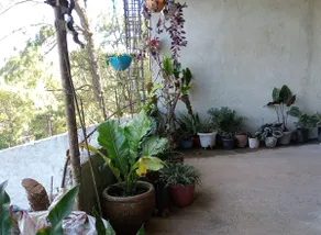Serenity House - Image 3