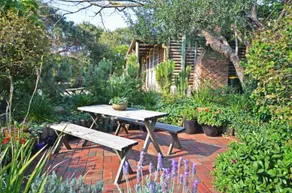 Surf Cottage - Luksus strand flugt - Image 3