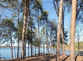 Lake Livin' at Lake Hartwell - Deep water! - Image 3