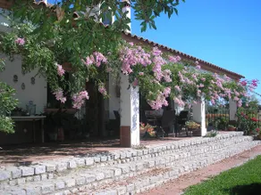Villa - Image 5