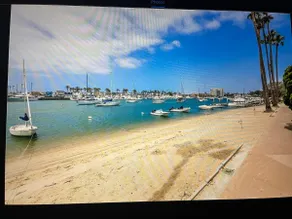 Coastal Glamour at New Port Beach ( Lido Island) - Image 4
