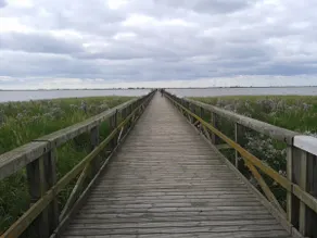 Nord Frisia - Nella terra degli orizzonti - Image 4