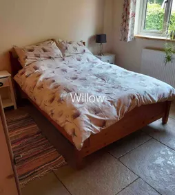 Willow - Image 3