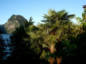 Romantic apartment at the foot of Mt. Bré - Image 5