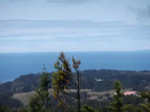Jewel box house w/ wide ocean view - Image 2