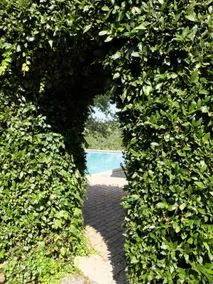 Renaissance relax &full immersion in a wild nature - Image 3
