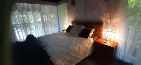 Dog Friendly King Room Rainforest Retreat - Image 3
