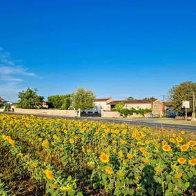 Beautiful Farmhouse with private pool & open barn - Image 2