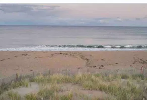 Backyard Ocean, free Wi-fi & parking - Image 3