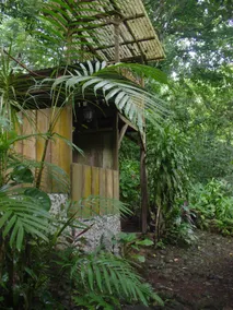 Duplex cabin in the jungle - Image 5