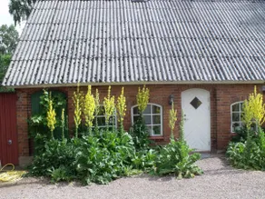 Picturesque cottage in the beech forest - Image 2