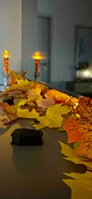 Eden Luxury - Image 3