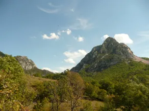 GÎTE-STUDIO VACATION GORGES-VERDON - Image 4