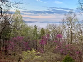 3 BR 12 Min to VT | Mtn Views | Firepit & Patio - Image 2