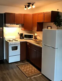 Ski Lodge Condo Across from Big Powderhorn, nær Copper Peak, Black River Harbour - Image 4