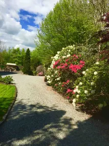 Serene Retreat - Image 5