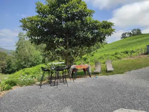 Gîte des 3 arbres - Image 3