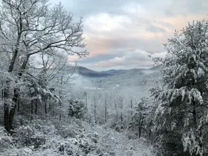 Spectacular Mountain View @ Peaceful, Cozy Cabin! - Image 5
