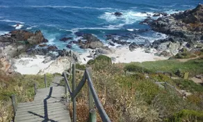 Mirador Punta del Lacho Cabin - Image 2