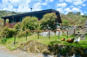 Mountain cabin in a unique and peaceful location - Image 5
