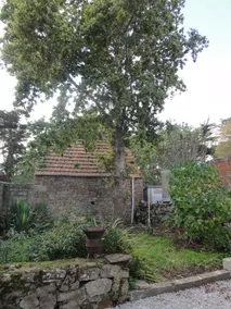 D Day Guest House - Image 2