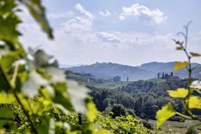 Winery Skoff Original - Image 5