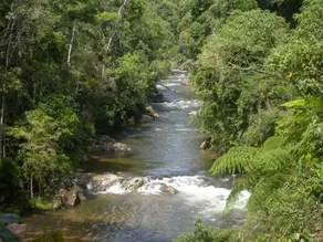 Sítio Sanandu - Stylish ecological paradise - Image 4