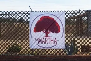 Casa Martha on the Guadalupe Valley Wine Route - Image 3