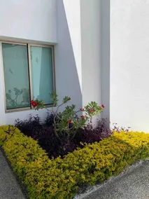 Casa Paraíso - Image 4