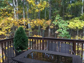 Big House On The Hill - Hot Tub, Sauna, Fireplace! - Image 4