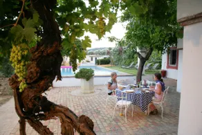 Historical Cortijo in Outstanding Location - Image 4