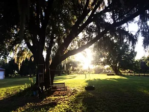 Our Hidden Gem - Image 2